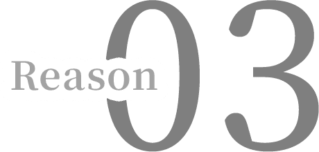 Reason 03