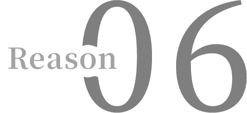 Reason 06