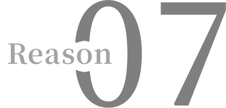 Reason 07
